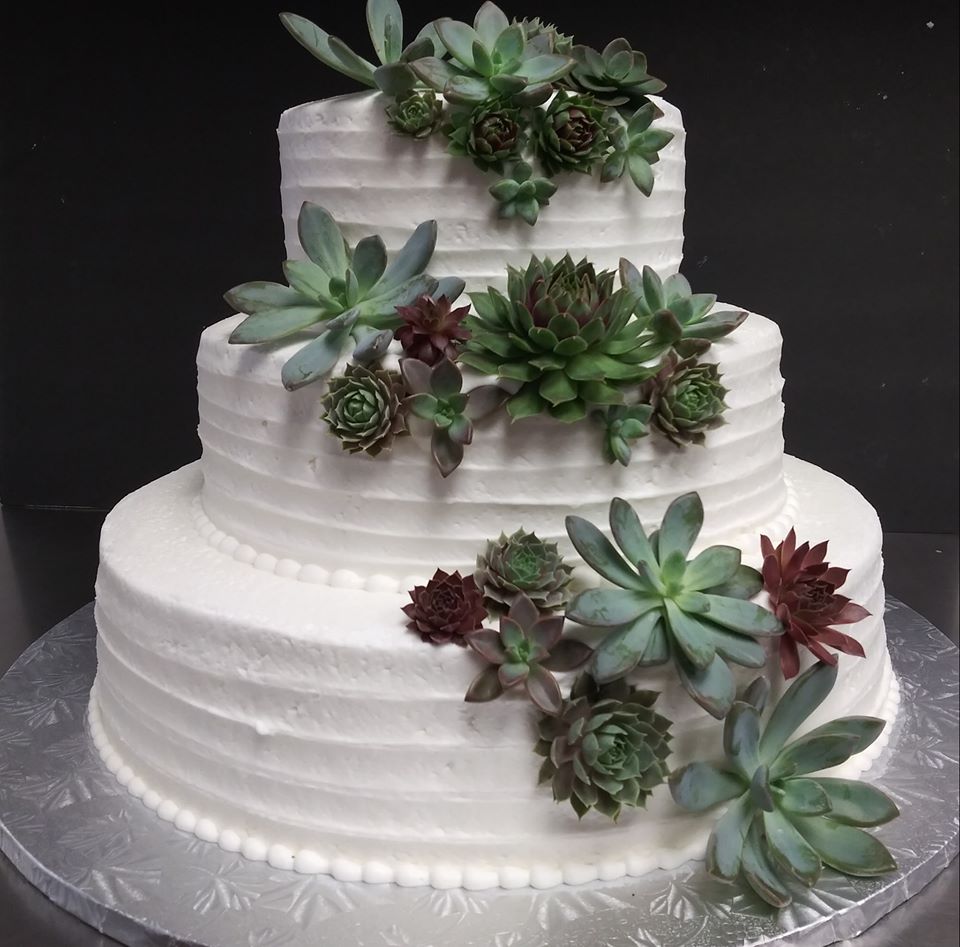 A white wedding cake with succulents on top.